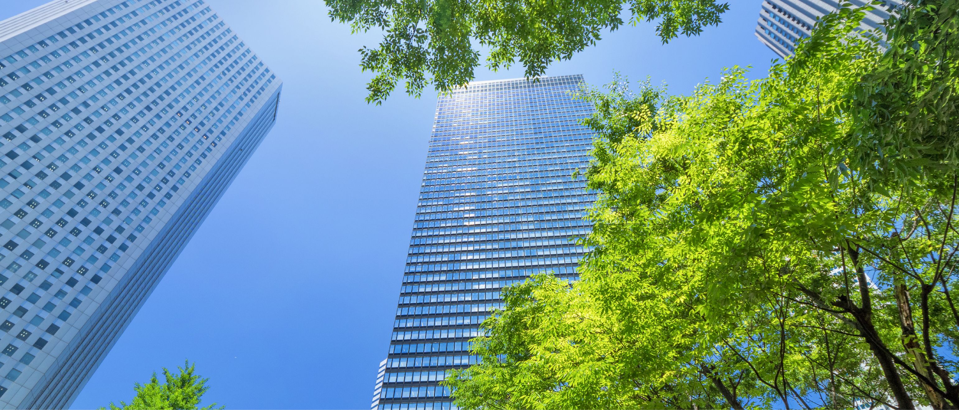 Sustainability Overview Page X 1 01